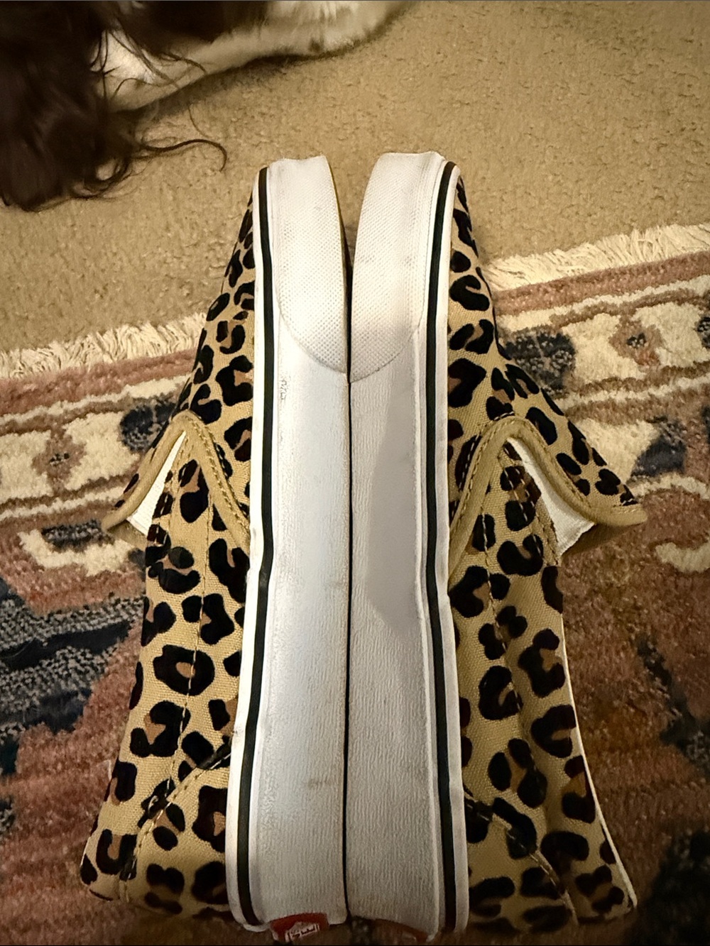 Vans Women’s Slip-On Sneakers in Leopard Print - Tan/Black - Picture 6 of 7